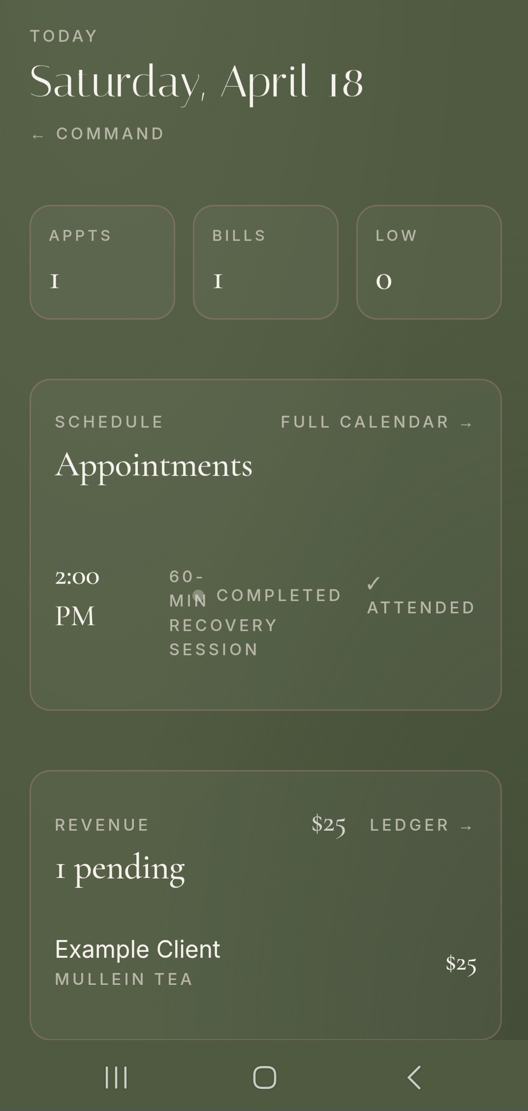 Cira today view showing appointments and revenue ledger