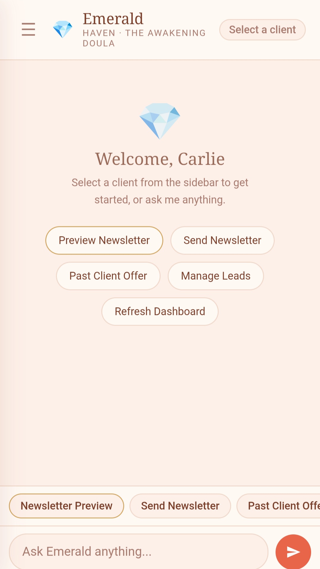 Emerald AI assistant for healers